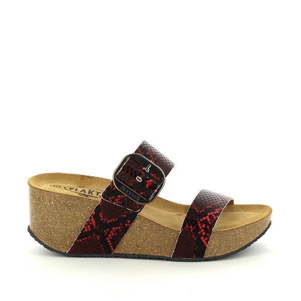 Plakton 873004 ROJO