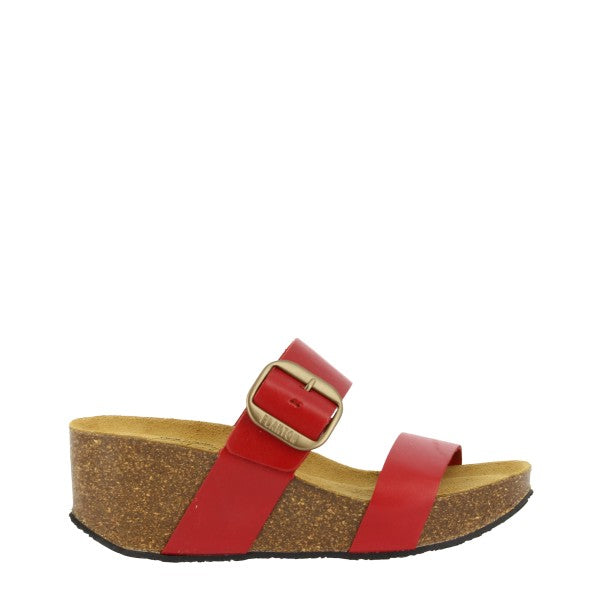 Plakton 873004 ROJO