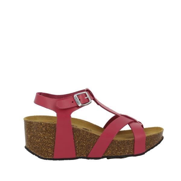 Plakton 873015 FUXIA