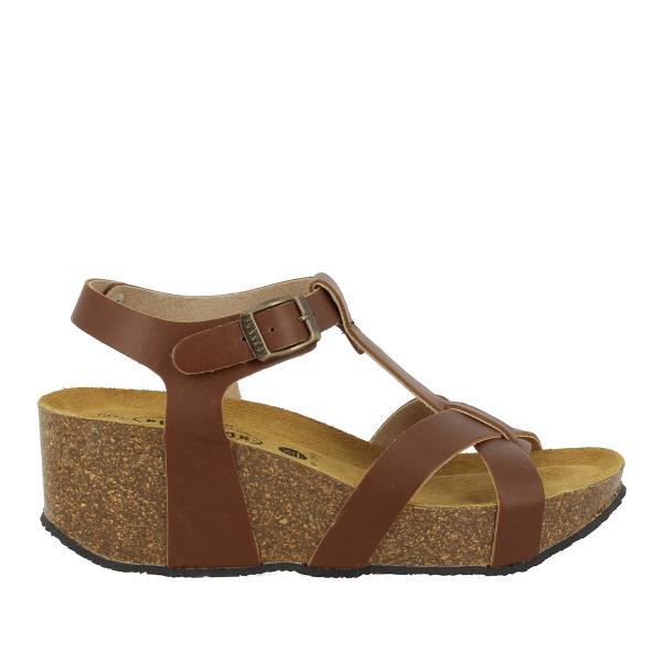 Plakton 873015 CHOCOLATE