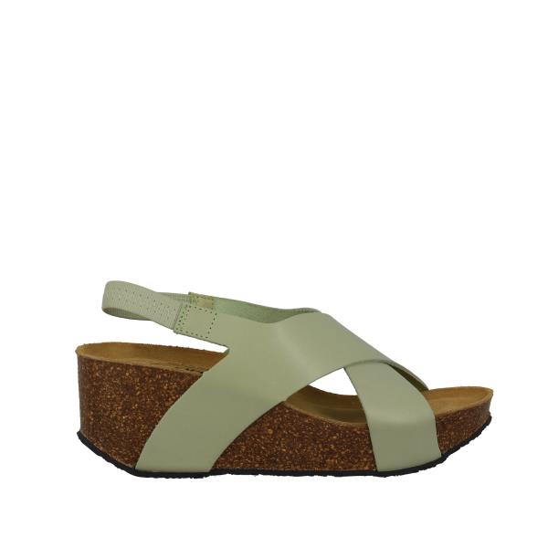 Plakton 875027 MINT
