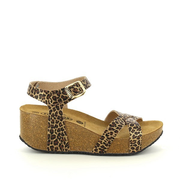 Plakton 875087 BROWN-BRONZE