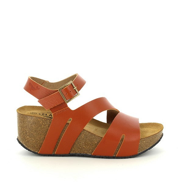 Plakton 875651 OLIVA