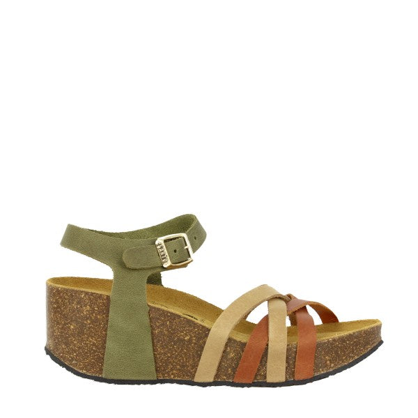Plakton 875921 TEJA-MIEL-PISTACAHO