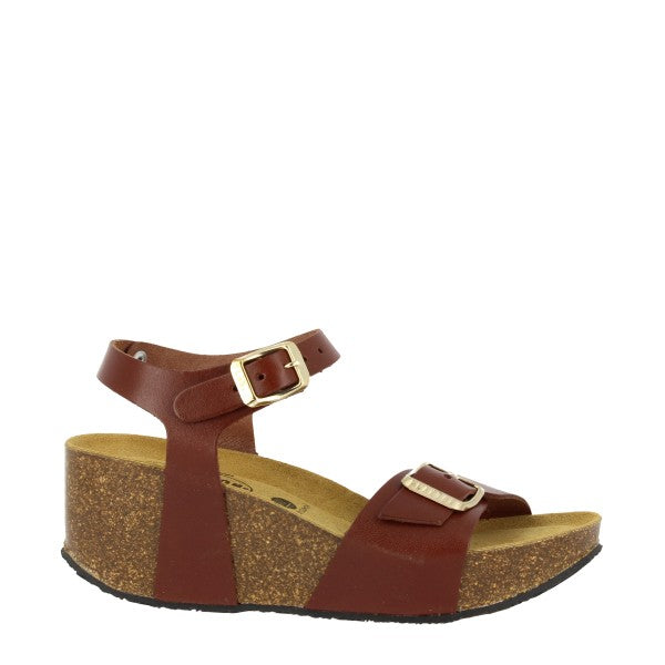 Plakton 876123 CORCHO