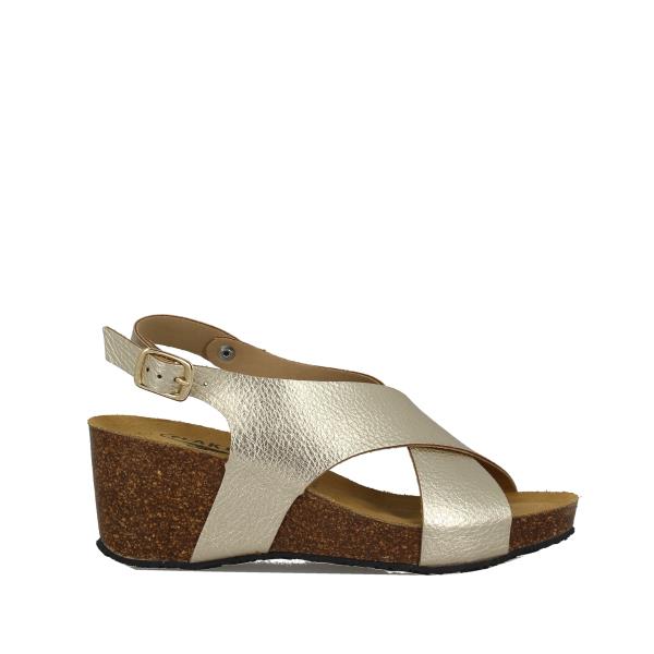 Plakton 885902 ORO-03