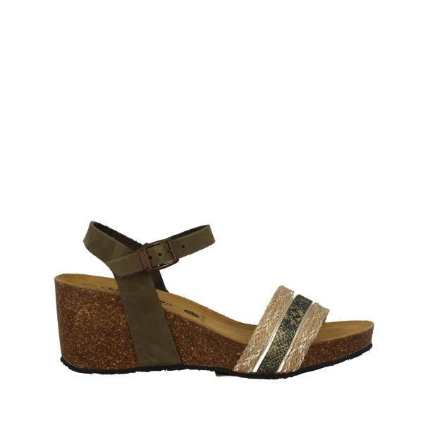 Plakton 886223 KAKI-ORO-MULTI