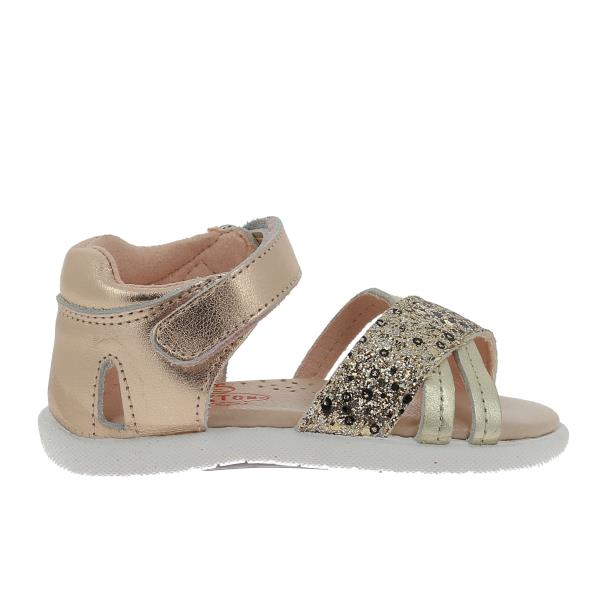 Plakton 930210 ORO-MULTI