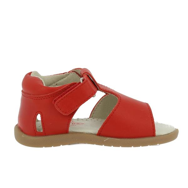 Plakton 930310 ROJO