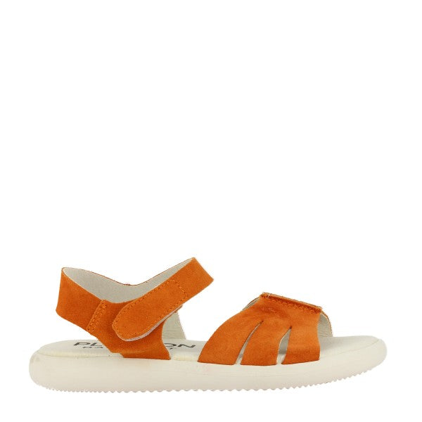 Plakton ZURI CALABAZA-534