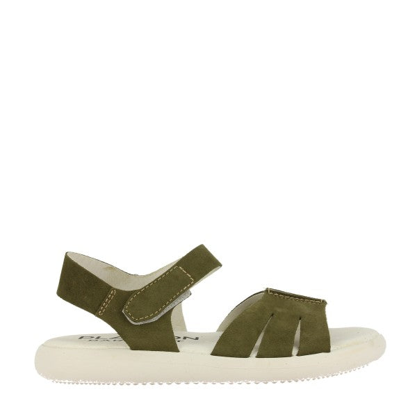 Plakton ZURI KAKI