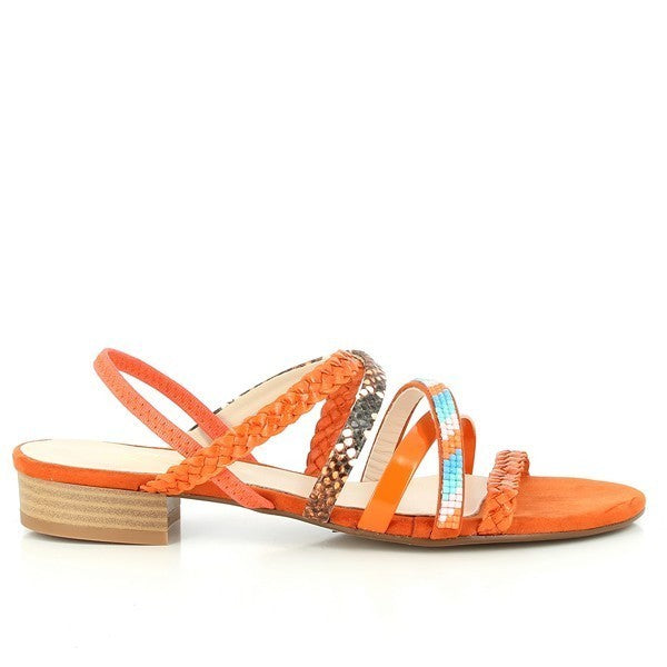 Quait 17611 MULTI