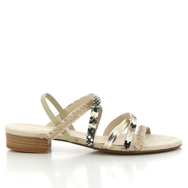 Quait 17611 MULTI