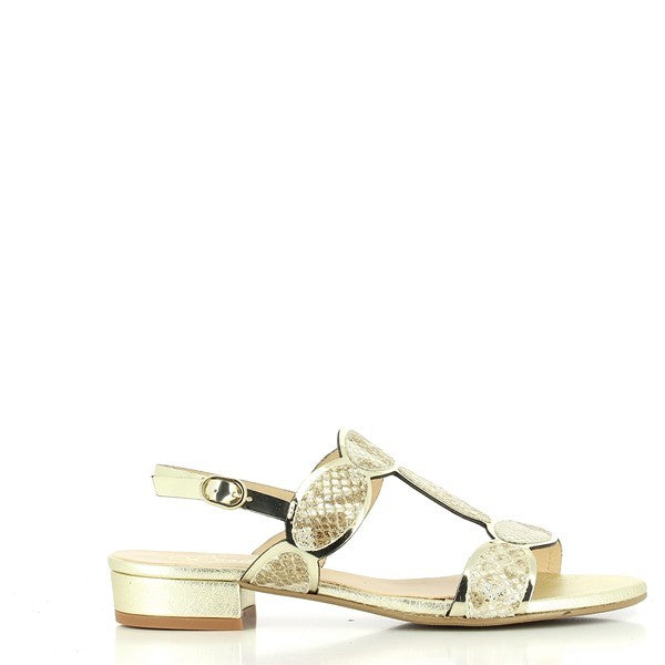 Quait 18186 GOLD