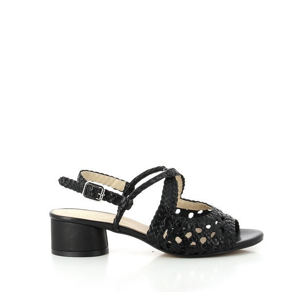 Quait 19216 BLACK