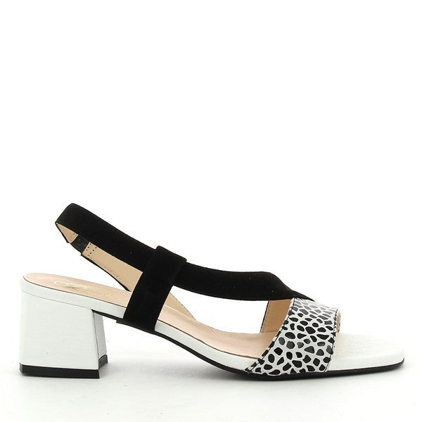 Quait 20233 BLACK-MULTI