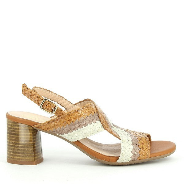 Quait 20360 BROWN-MULTI