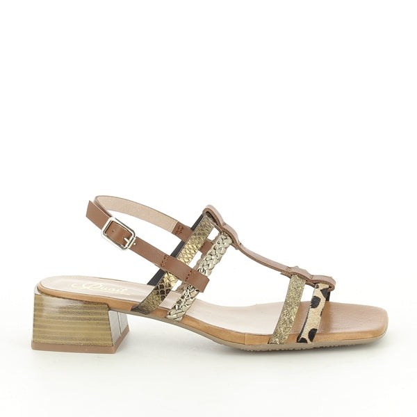 Quait 21035 CUERO-BRONZE-MULTI