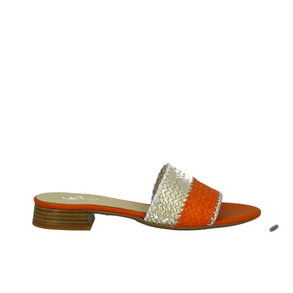 Quait 24644 CARROT-MULTI