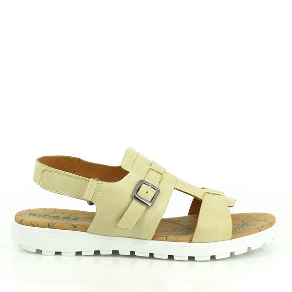 Ricoos C40-5476