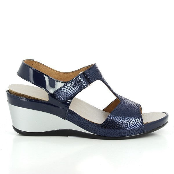 Torretti 10810 NAVY