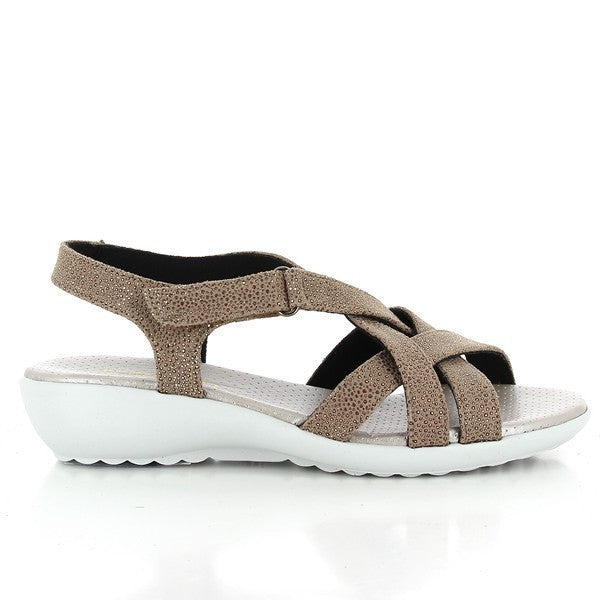 Torretti 1355 TAUPE