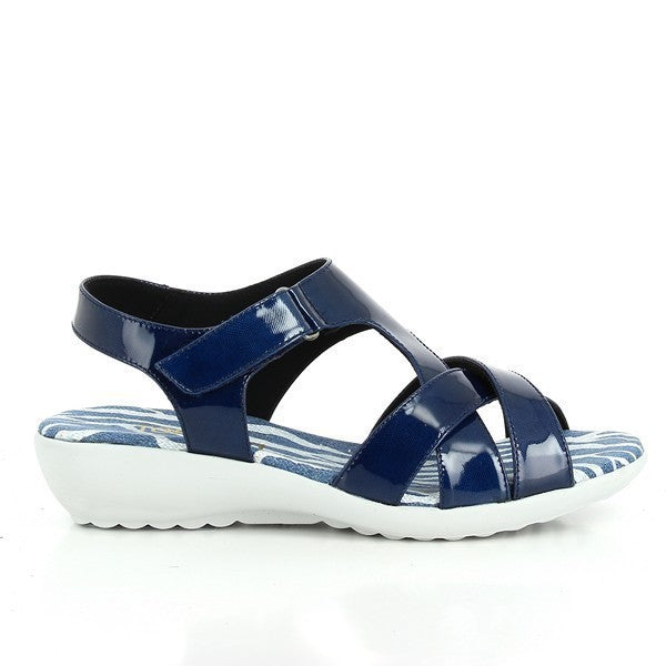 Torretti 1364 NAVY