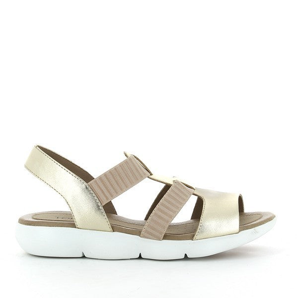 Torretti SD0760 GOLD