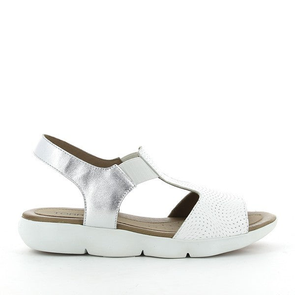Torretti SD0763 WHTIE-SILVER
