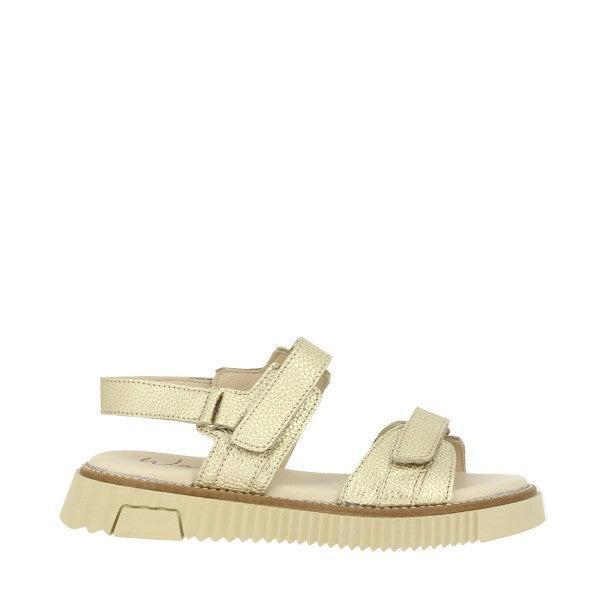 Wave ZEN-60631 PLAINO