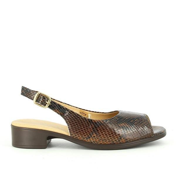 Torretti VIVAS BROWN