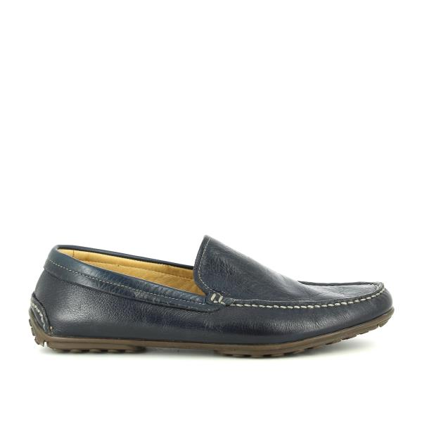 Anatomic LUCAS NAVY