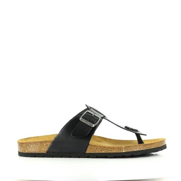Plakton 100012 NEGRO