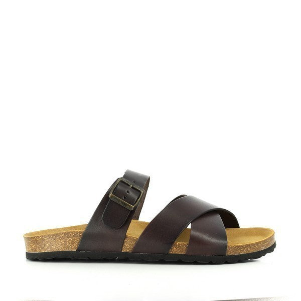Plakton 100021 MARRON