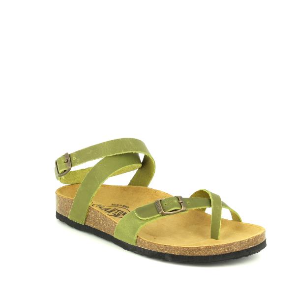 Plakton 101204 KAKI-716
