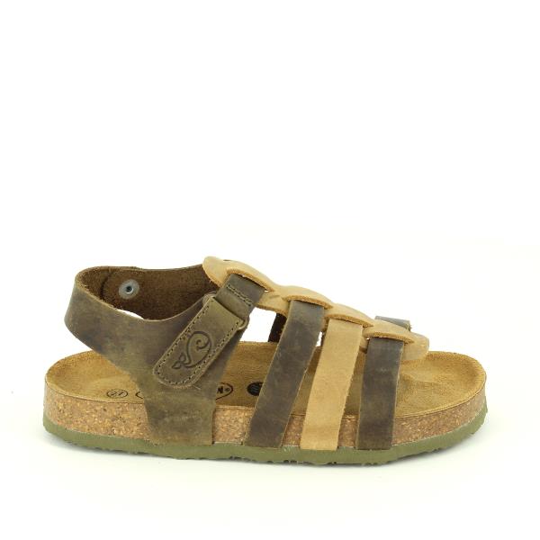 Plakton 125381 KAKI-MULTI