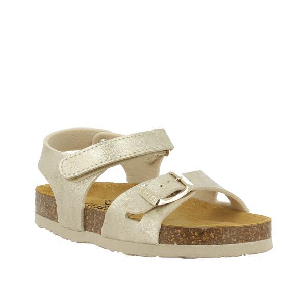 Plakton 135488 ORO