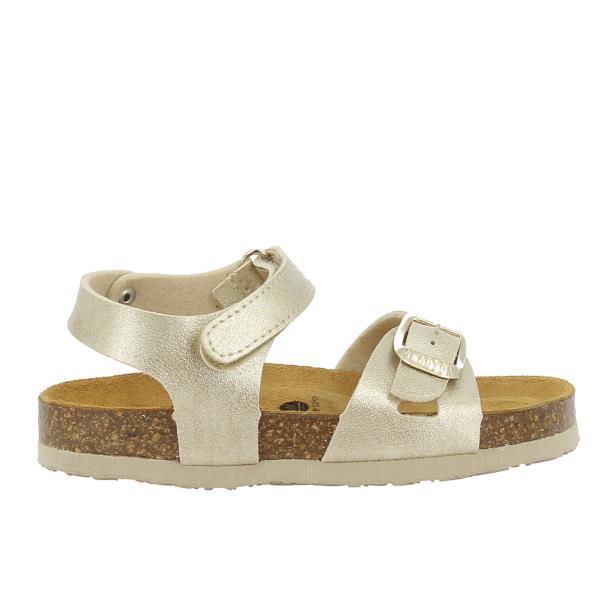 Plakton 135488 ORO