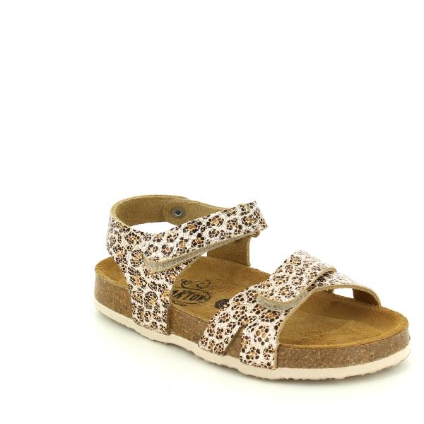 Plakton 135637 ORO-2-MULTI