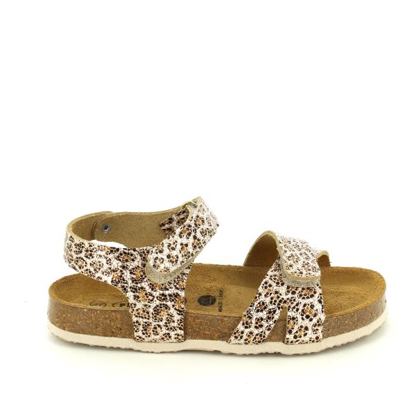 Plakton 135637 ORO-2-MULTI