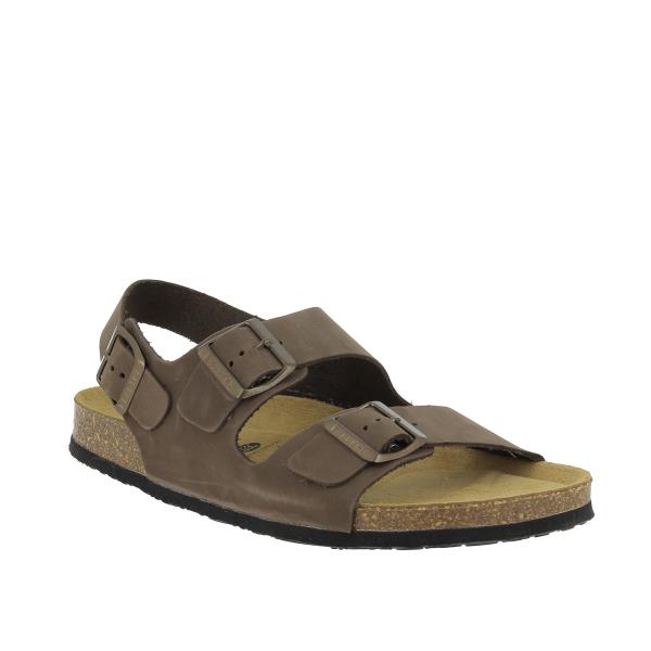 Plakton 175113 MORESCO