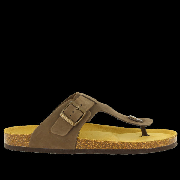 Plakton 175991 MORESCO
