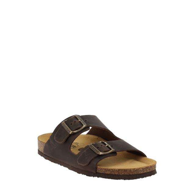 Plakton 180010-OF MARRON