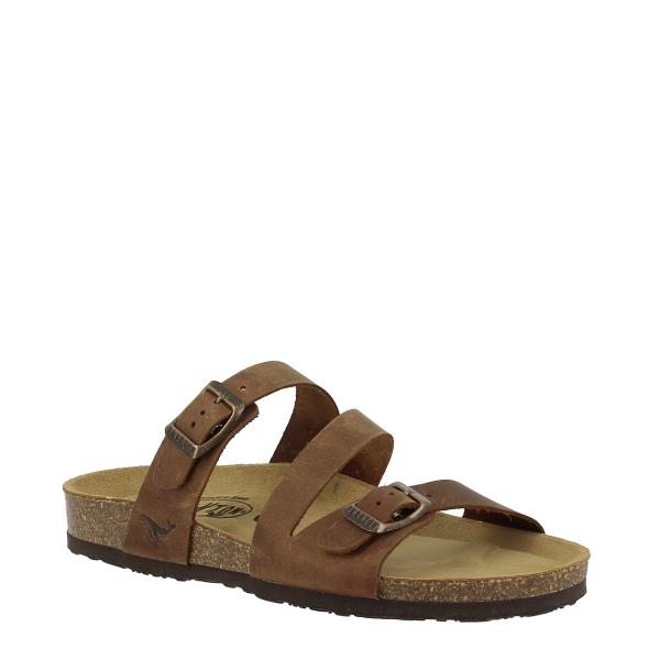 Plakton 181210 ROBLE