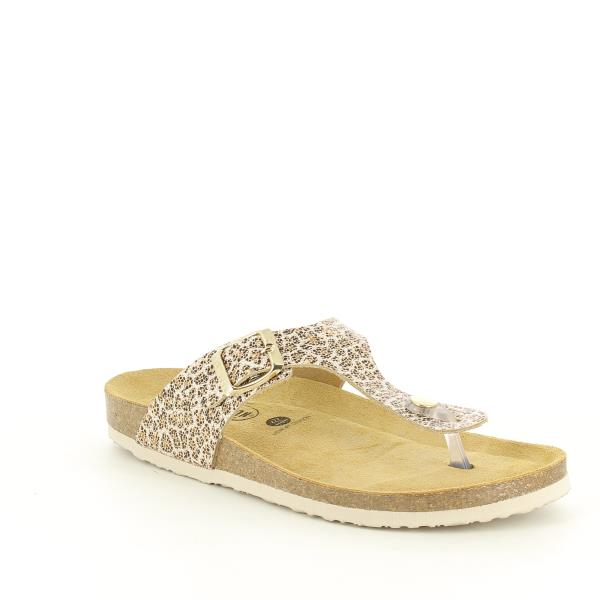 Plakton 181671 ORO-2-MULTI