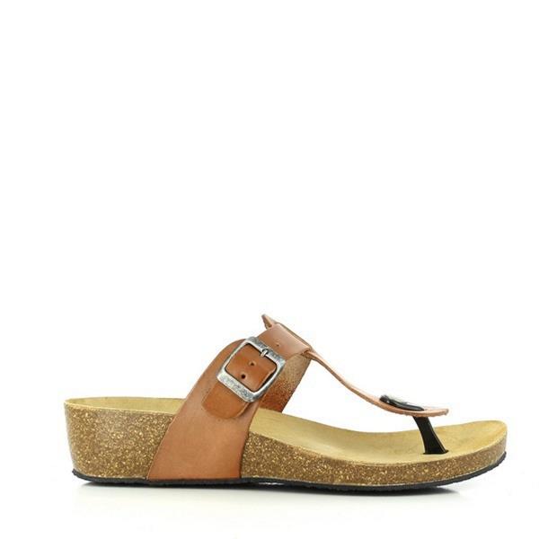 Plakton 241665 ROBLE-1146