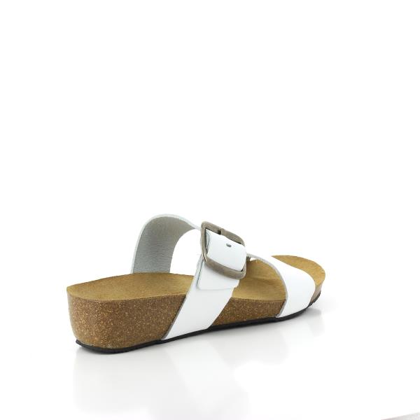 Plakton 243004 WHITE