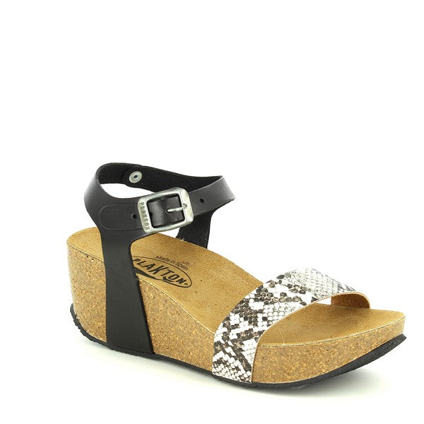 Plakton 273023 BLACK