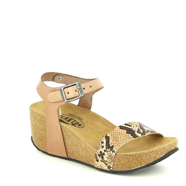 Plakton 273023 CUERO