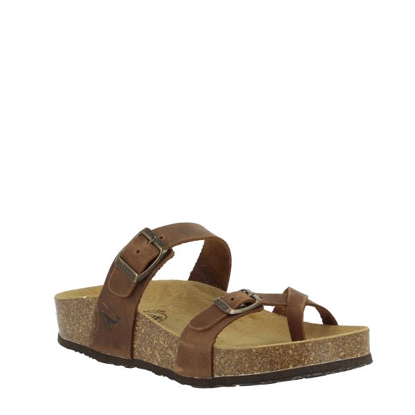 Plakton 341032 ROBLE
